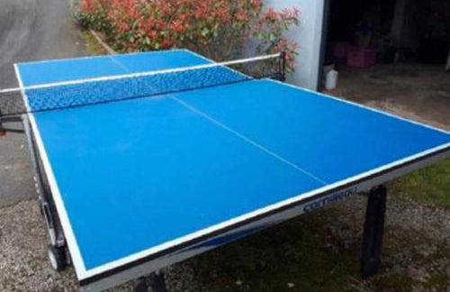 Longère de charme - Foto 26