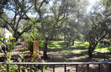 Casa Rural La Gallega - Foto 12