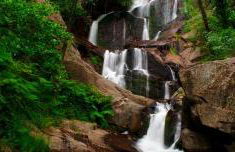 Apartamentos Dacris - Foto 50