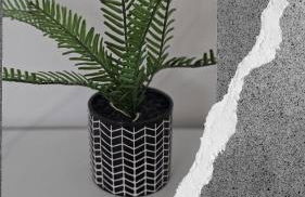 Allan & Ella House - Photo 35