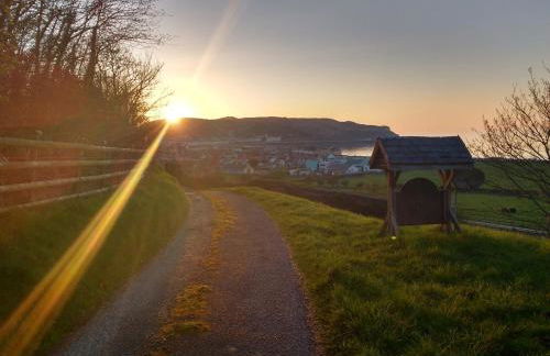 Bodafon Hall Cottages - Foto 27