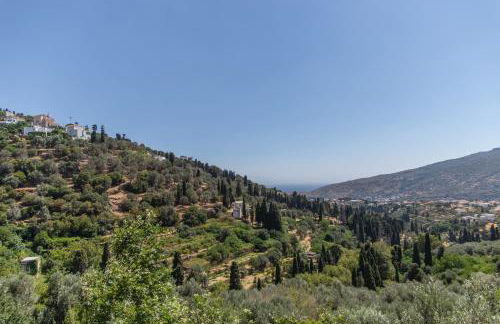 Nysa Residence - Foto 19