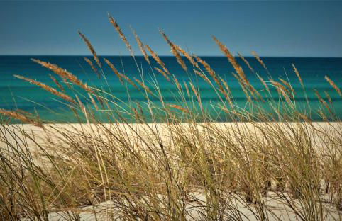 ComportAMar - Foto 37