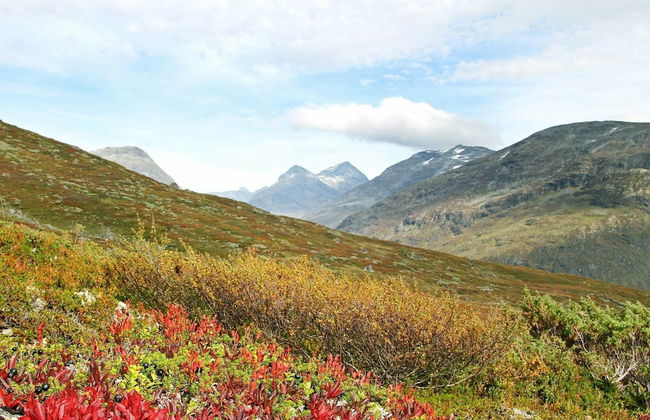 6 Person Holiday Home in Ovre Ardal - Foto 23