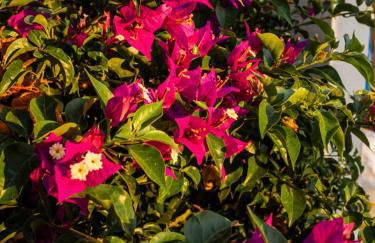 Le Casette di Sangennaro - Foto 37