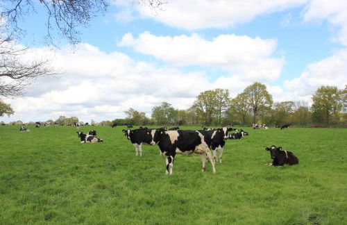 Friedeburga - Photo 30