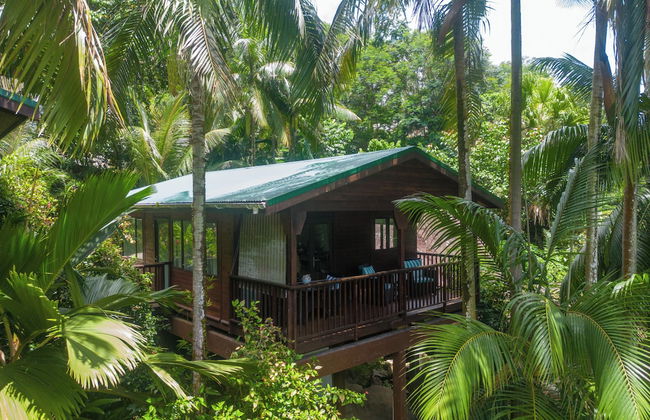 Hillside Retreat - Photo 36