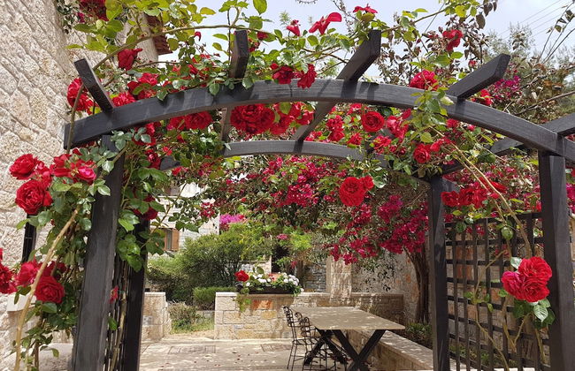 Polismata - Private Residences - Foto 61