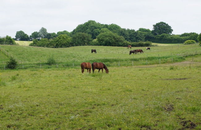 Farm at Grebiner See - Foto 20