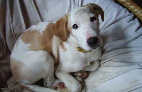 Agriturismo Le Serre - Foto 37