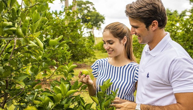 The Lodge at Uxmal - Foto 3