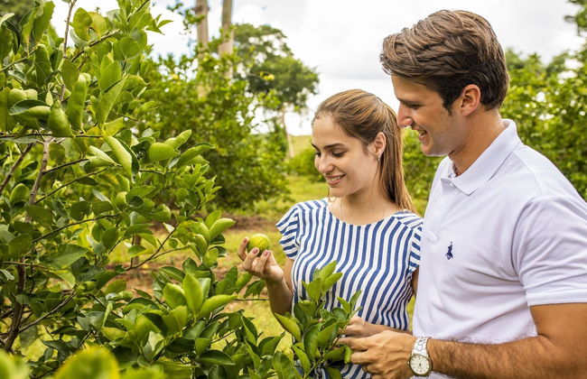 The Lodge at Uxmal - Foto 3