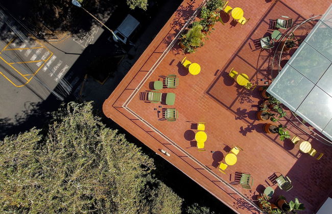 Nido Condesa - Foto 1