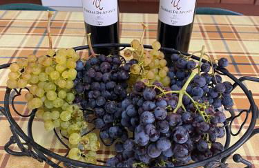 CASA rural DOLORES en Adeje - Foto 31