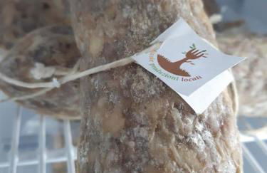 Agriturismo il Podere Vedelago con San Bernardo, Alpaca e una Pentola di cose da scoprire - Foto 70