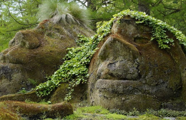 Holiday Apartment Am Buchbuhl - Foto 31