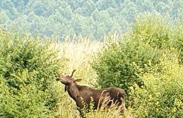 Wyskok 1 - dom z widokiem - Foto 40