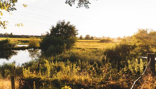 Vechteblick - Foto 3