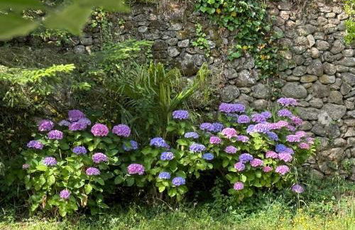 Gîte Citronnier Authentique et paisible - Foto 5