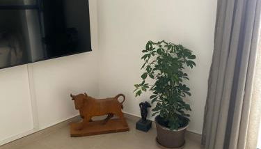 La Casita Málaga - Foto 4