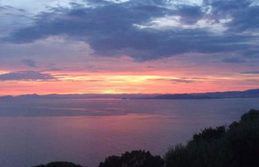 Les Terrasses Levantines - Foto 8