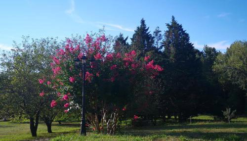 Gîte La Closerie des Cèdres - Foto 5, Garden