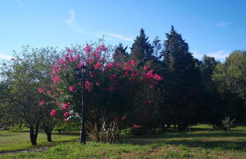 Gîte La Closerie des Cèdres - Foto 6