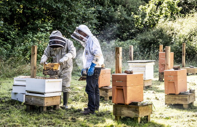 Glenmorangie House - Foto 6