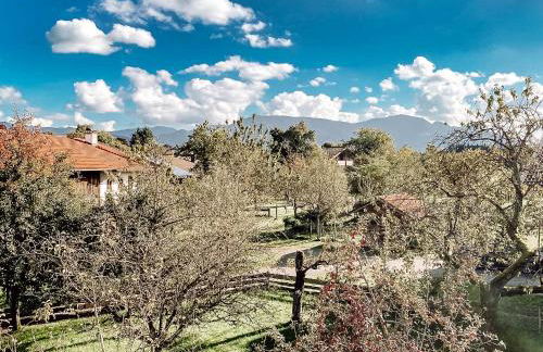 Haus Horizont - Foto 8