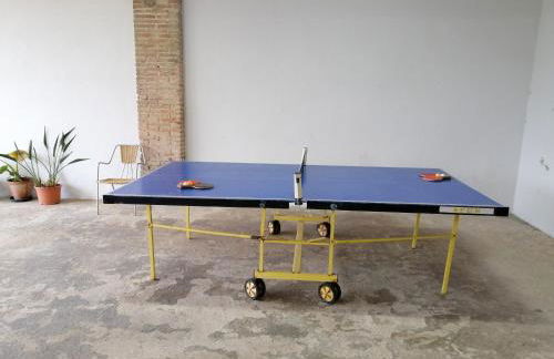 El Mas Pla - Foto 13