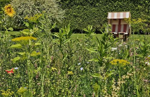 Ferienhof SchilfMeer - Fewo "Seepferdchen" - Foto 19