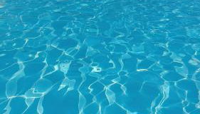 Ippocampo alba e tramonto al giardino - Foto 4