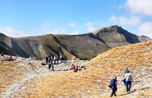 Agriturismo Le Castellare - Foto 47