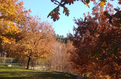 Cazal Da Lamella - Foto 47