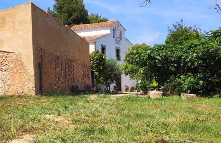 Mas Romeu Rural House - Foto 41