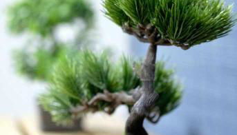 Alojamiento Simon 1 Murcia - Foto 5