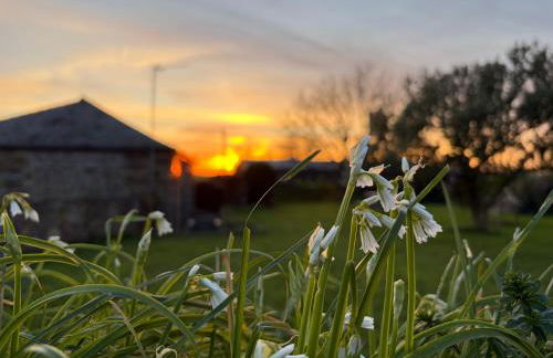 The Barn-family getaway - Nr Port Isaac - Photo 28