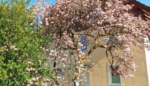 Liebevoll Gästewohnungen - Foto 3