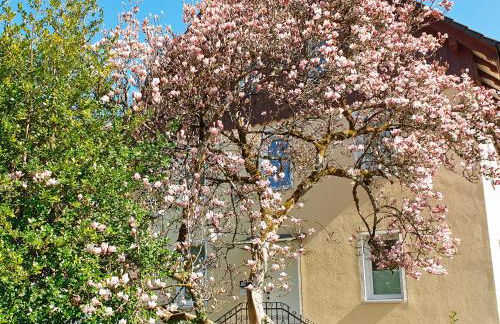 Liebevoll Gästewohnungen - Foto 3