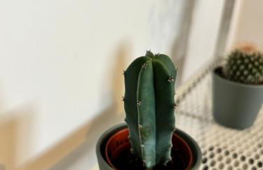 Évasion proche Disneyland - Foto 15