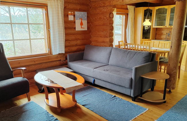 Heinäsorsa - Foto 6