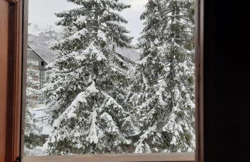 Un NIDO tra i monti - Foto 21