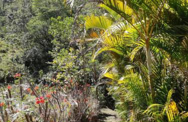 Chalé Aconchegante, Paz e Natureza - Foto 44