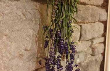 Brecon Beacons Old Vicarage, stunning garden & views - Foto 75