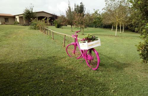 Agriturismo Podernuovo - Foto 66