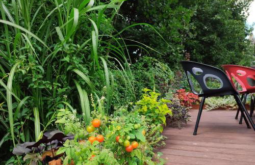 Lawendowo- sauna, jacuzzi, domki w ogrodzie i apartamenty w kamienicy - Photo 21