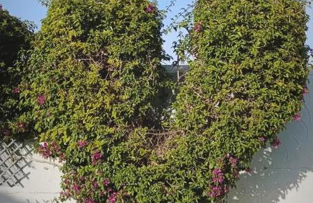 Apartamento y Terraza Puente Viejo junto a la Catedral - Foto 24