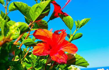 Aegean Serenity - Sea View Retreat - Foto 37