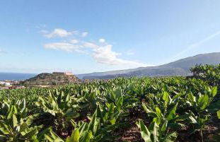 Parque La Luz - Foto 24