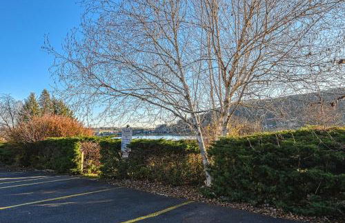 Wispy Wonder - Foto 31